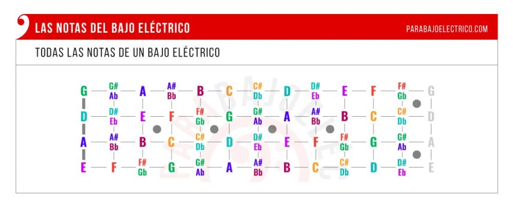 Qué notas son cada cuerda del bajo 1 Diagrama Notas del bajo electrico 1024x419 1