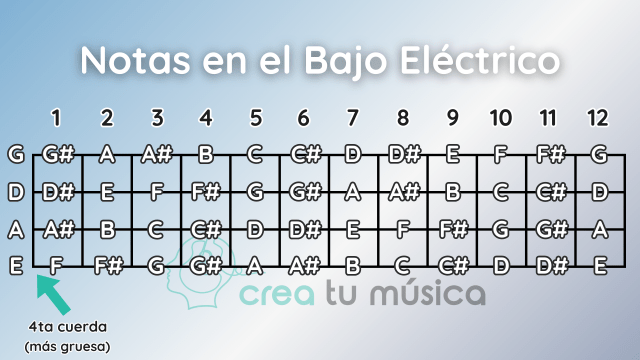 Qué nota es EB en bajo 2 Bajo eléctrico diapasón nota Eb