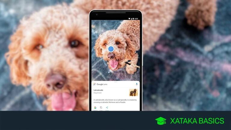 Cómo puedo encontrar el nombre de algo que no sé cómo se llama