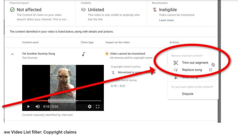 Cómo saber si un video de YouTube tiene copyright o es libre de derechos