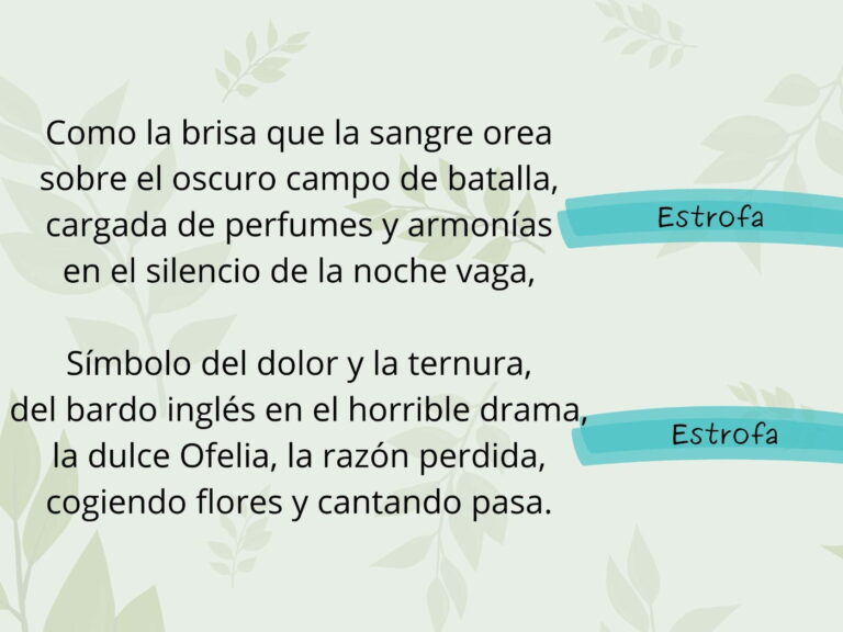 Qué Son Las Estrofas En Un Poema Y Cuál Es Su Función 2 Qué Son Las Estrofas En Un Poema Y Cuál Es Su Función