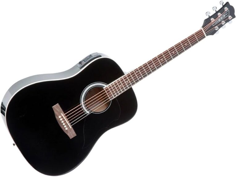 Qué características hacen únicas a las guitarras eléctricas Harley Benton 13 Qué características hacen únicas a las guitarras eléctricas Harley Benton