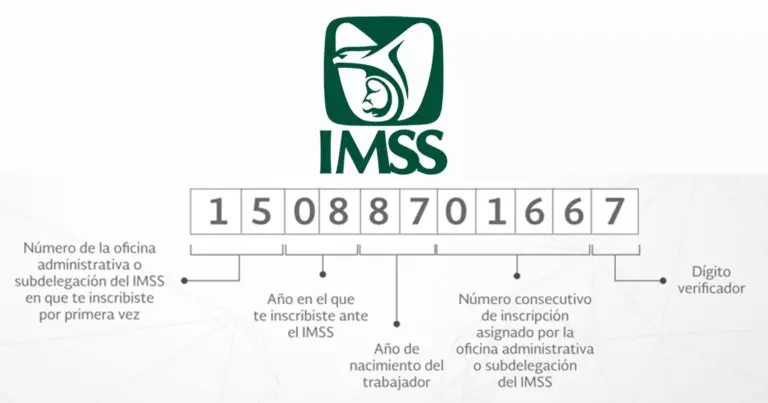 Cómo obtener mi número de IMSS utilizando mi CURP 2 Cómo obtener mi número de IMSS utilizando mi CURP