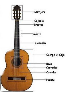 Guitarra acústica partes señaladas
