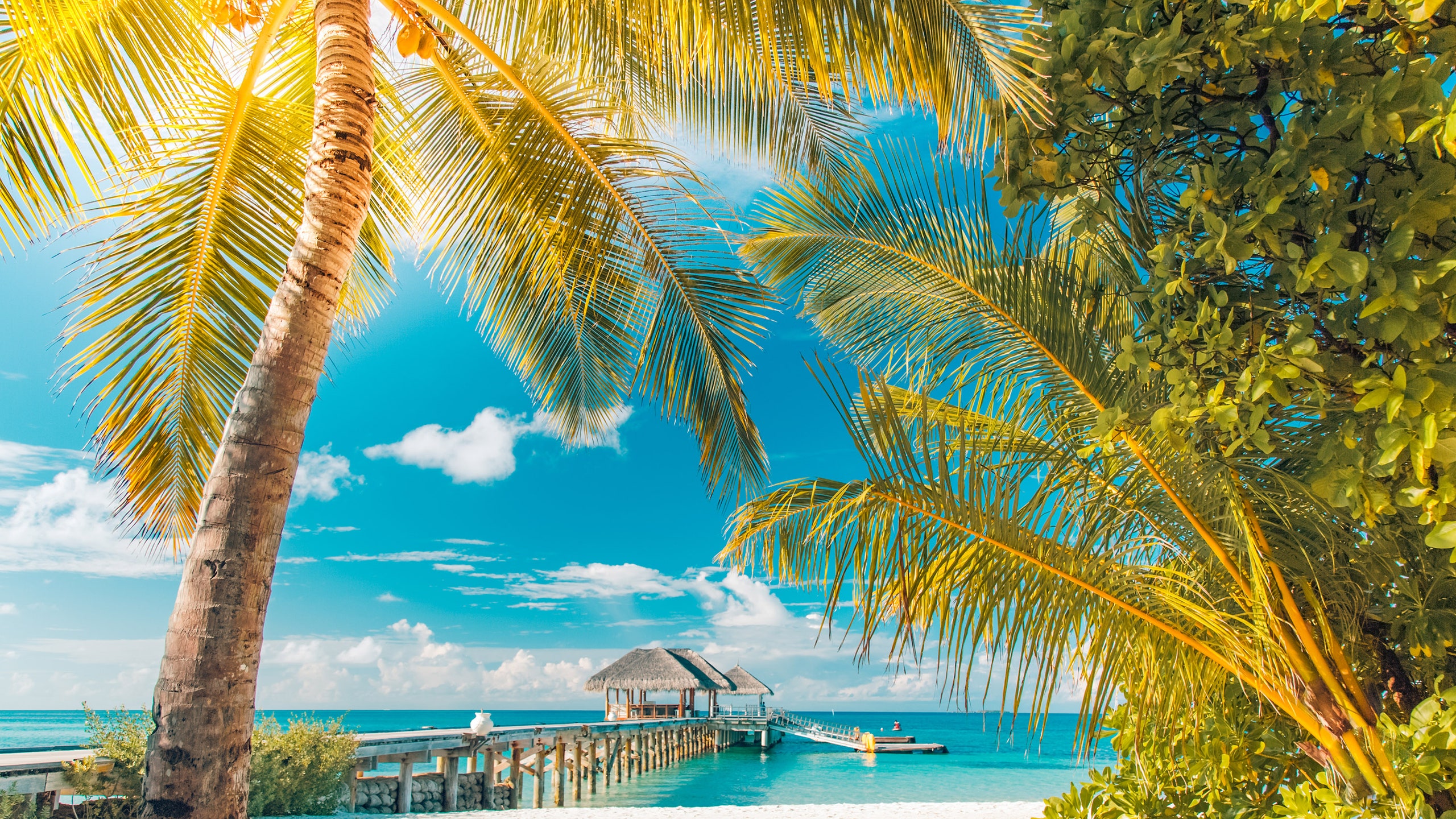 Por qué la arena estaba de bote en bote durante las vacaciones 1 playas
