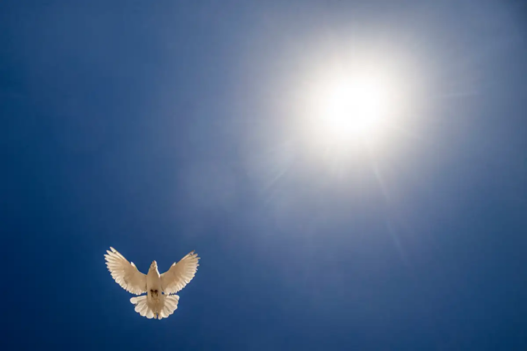 Qué significan los destellos de luz en mi habitación y por qué ocurren 5 Qué significan los destellos de luz en mi habitación y por qué ocurren