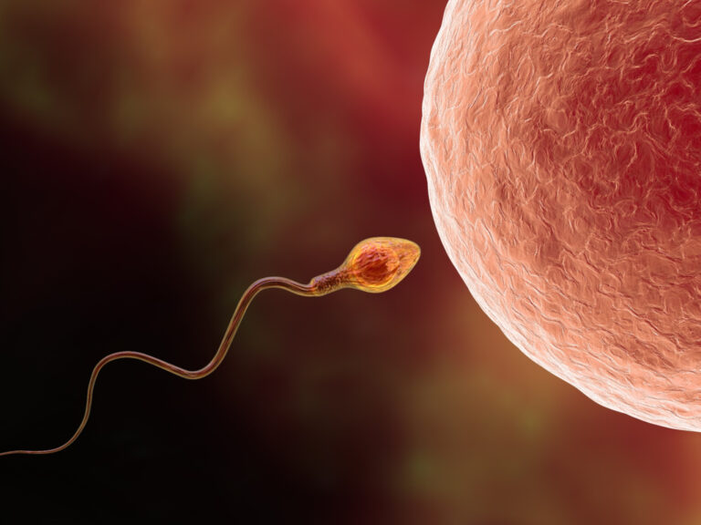 Cuánto paga Spotify por reproducción y cómo se calcula esa cantidad 7 Cuánto paga Spotify por reproducción y cómo se calcula esa cantidad