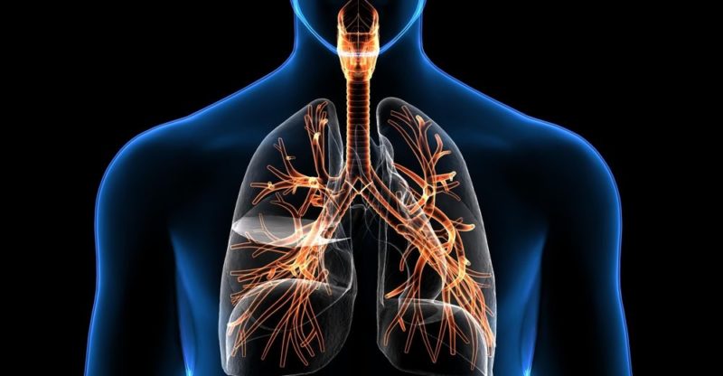 Cómo puedo aprender a cantar sin forzar la garganta correctamente 1 respiracion