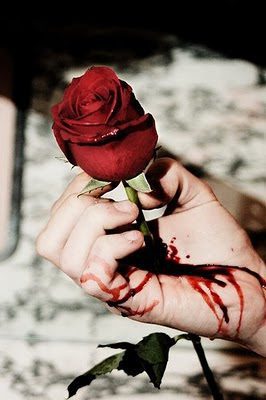 rosa con espinas en mano