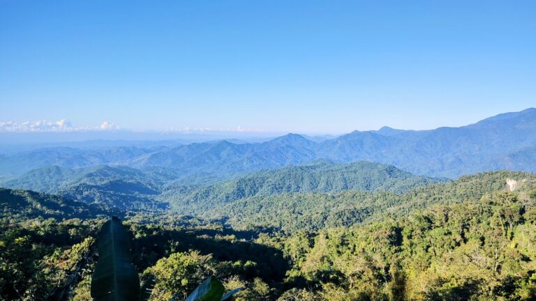 Qué diferencias hay entre Mac Sierra y High Sierra 7 Qué diferencias hay entre Mac Sierra y High Sierra